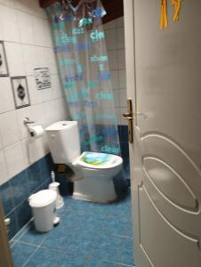 uma casa de banho com um WC e uma cortina de chuveiro em EKALI em Nea Peramos