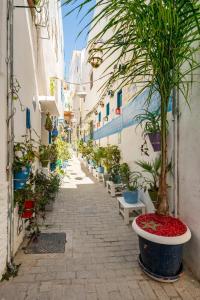 DAR YAMNA Maison typique Kasbah de Tanger في طنجة: زقاق مع صف من النباتات الفخارية على مبنى