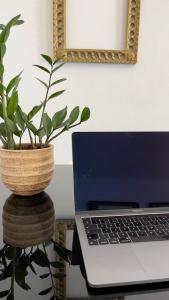 einem Laptop auf einem Tisch mit Topfpflanze in der Unterkunft Apartamento T2 com Terraço grande in Quarteira