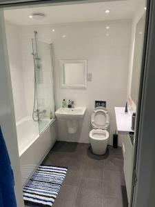 a bathroom with a toilet and a shower and a sink at 03 Glasgow Flat in Glasgow