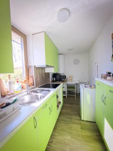 a kitchen with green cabinets and a sink at PUŽMAN Farm Glamping in Radovljica