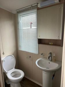 a bathroom with a toilet and a sink at 3 Bed Platinum Caravan PRESTHAVEN SANDS in Prestatyn