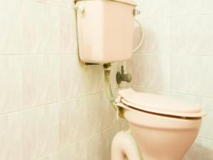 a bathroom with a white toilet in a room at Hotel Woodland Deluxe in New Delhi