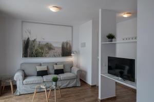 A television and/or entertainment centre at Apartamentos Los Rosales