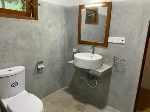 W łazience znajduje się toaleta, umywalka i lustro. w obiekcie Hanguk Lanka Lagoon Villa w Tangalli