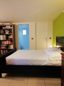 a bedroom with a bed and a book shelf at Appartement 2 pièces sur jardin en Pic Saint-Loup in Valflaunès