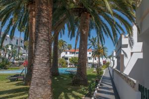 a group of palm trees next to a pool at Apartamentos Los Rosales in Los Cancajos