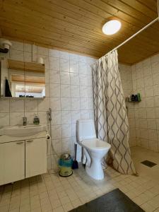 a bathroom with a toilet and a sink at Lamminmäen Juhla ja Peti in Joutsa