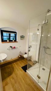 a bathroom with a glass shower and a sink at Landappartement Stritter in Radeburg