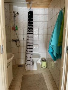een kleine badkamer met een toilet en een douche bij Lamminmäen Juhla ja Peti in Joutsa