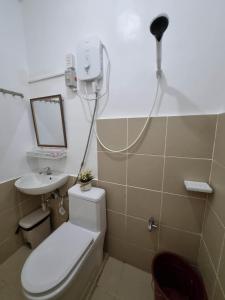 a bathroom with a toilet and a sink and a mirror at Palawan two bedroom home in puerto princesa city in Puerto Princesa City