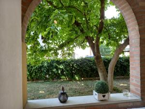 una finestra ad arco con due vasi e un albero di Fausto&Deby Apartment a Oriago