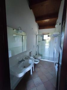 y baño con lavabo, ducha y aseo. en Masseria Pietrafitta, en Foggia