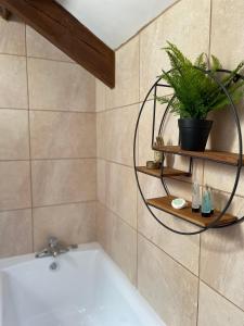 a bathroom with a tub and a plant on a shelf at Cilhendre Holiday Cottages - The Dairy in Swansea