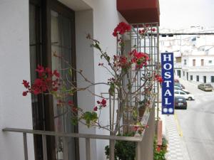un cartello sul lato di un edificio con fiori di Hostal Palomares a Salobreña