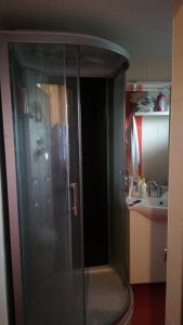 a glass shower in a kitchen with a sink at GALATA house along the river Danube in Radvaň nad Dunajom