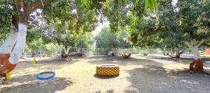 Zahrada ubytování Amraness Luxury Resort Sasan Gir