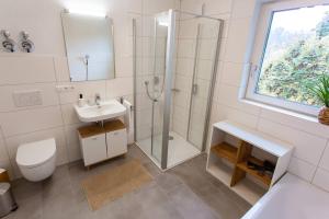 a bathroom with a shower and a toilet and a sink at Große COZY 3-Zi-Whg mit Balkon Nähe Europa Park und Rulantica in Lahr +3 photos