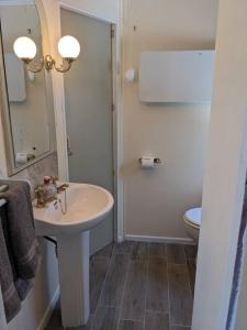 a white bathroom with a sink and a toilet at Ferny Roost Cabin. in Wrexham