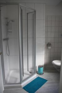 een badkamer met een douche en een blauw tapijt bij Pension Domino in Bleicherode