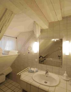uma casa de banho com um lavatório e um espelho em Hotel Weisses Ross em Dinkelsbühl