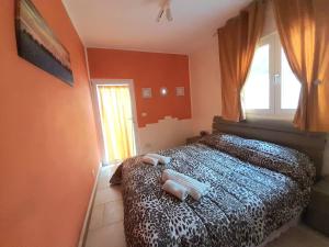 - une chambre avec un lit à motifs léopards et une fenêtre dans l'établissement Musa Balbisiana Casa Citrus, à Brindisi