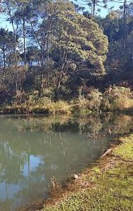 a body of water with trees in the background at Recosta Chalés in Cambara do Sul