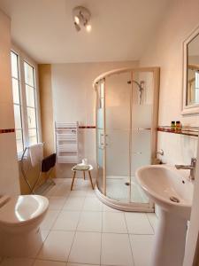 W łazience znajduje się prysznic, toaleta i umywalka. w obiekcie Le Portanel w mieście Eymet