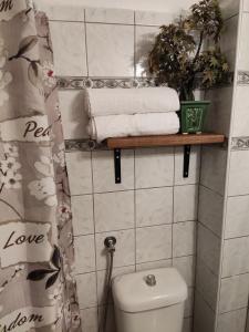 a bathroom with a toilet and towels on a shelf at Villa Elli in Olympic Beach