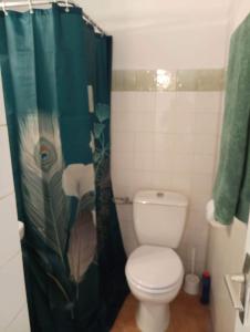 a bathroom with a toilet and a shower curtain at bleu intense in La Trinité