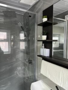 a bathroom with a shower and a sink and a mirror at Apartment in St Denys in Southampton