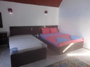 two beds in a room with two bedsskirts at Kafana Guest House Nile View in Aswan