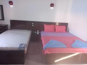 Kafana Guest House Nile View في أسوان: سريرين في غرفة مع وسائد وردية وزرقاء