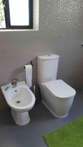 Łazienka z białą toaletą i umywalką w obiekcie Riva D Etruschi Seychelles w mieście Bel Ombre