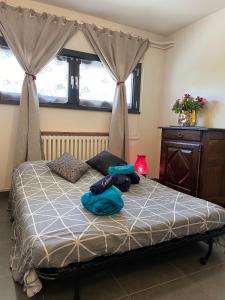 a bedroom with a bed with curtains and a dresser at Chambre avec Spa et Sauna privatisés in Bourg-en-Bresse