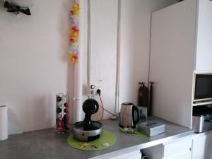 a kitchen counter with a blender on a green plate at Chambre avec Spa et Sauna privatisés in Bourg-en-Bresse