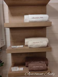 - deux serviettes sur une étagère dans une salle de bains dans l'établissement Apartment Andy, à Medvode