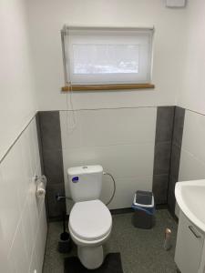 uma casa de banho com um WC, um lavatório e uma janela em Kemping em Föglö