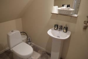 a bathroom with a white toilet and a sink at Nygaard B&B in Nørre Nebel
