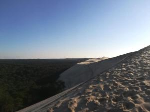 Photo de la galerie de l'établissement La maisonnette de Suzette, à Lanton