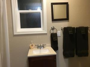 a bathroom with a sink and a window and a mirror at Cabin 3 Lynn View Lodge in Haines