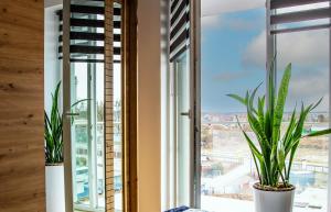 En generel havudsigt eller havudsigten taget fra lejligheden + 2 billeder