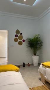 Imagen de la galería de RABAT Appartement COSY CENTRE VILLE AU FRONT DE MER, en Rabat