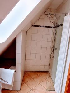 - Baño con ducha en el ático en Ambiente Ferienwohnungen, en Sankt Martin