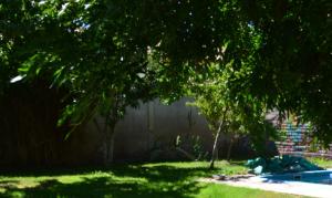un patio con un árbol y una valla en Coqueto departamento, Jardines del Rey en Neuquén
