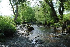 a river with rocks and trees on the side at Riverside House in Thornhill