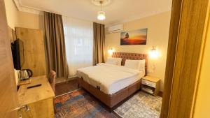 um quarto de hotel com uma cama e uma televisão em Albatros Apart Suite em Istambul