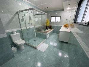 a bathroom with a shower and a toilet and a sink at Hotel Pousada Irmaos Freyhardt in Rio de Janeiro