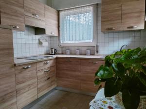 una cocina con armarios de madera, una ventana y una planta en Il Terrazzo Sulle Dolomiti, en Cibiana