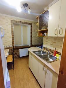a kitchen with a sink and a counter top at TeRoom in Ternopil